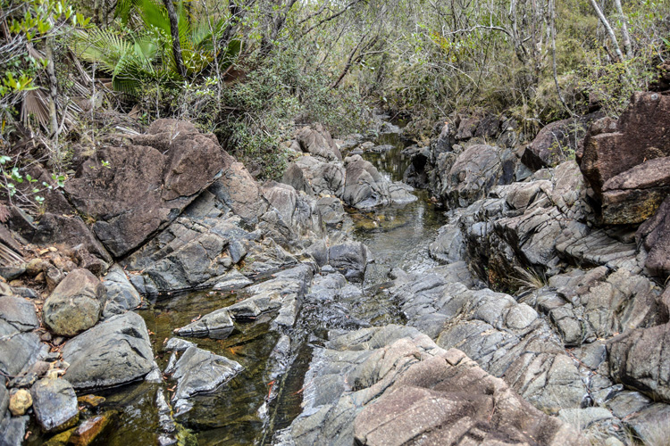 8 El Cuabal pinar del rio thousand summits guerrilla 750x500 1