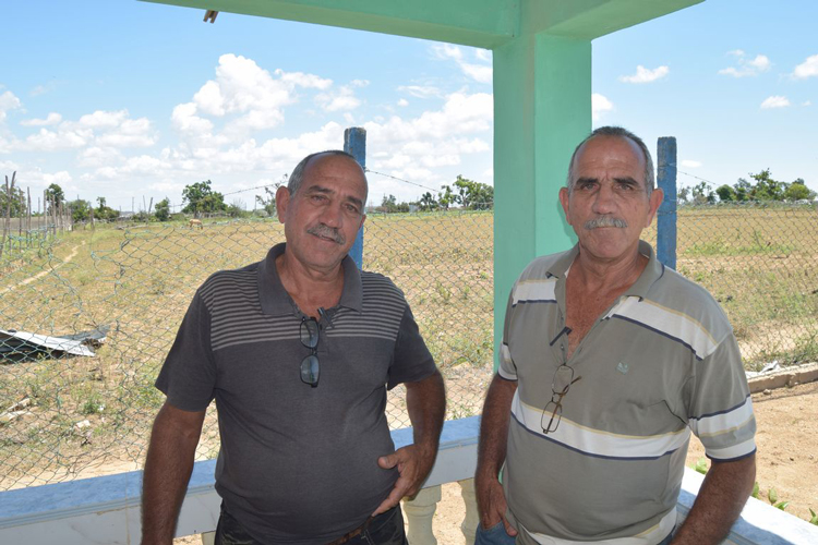 The Jimaguas of tobacco in Pinar del Río