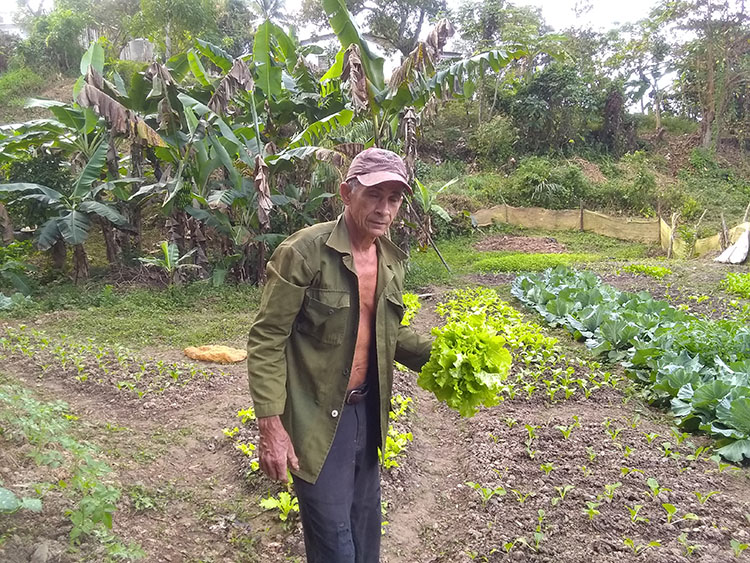 Para Luis García no hay tierra mala, todo depende de la labor de quien la cultiva.