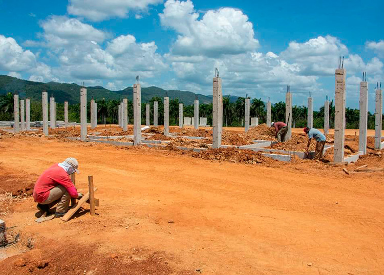 Construyen en Pinar del Río planta de polvo de moringa