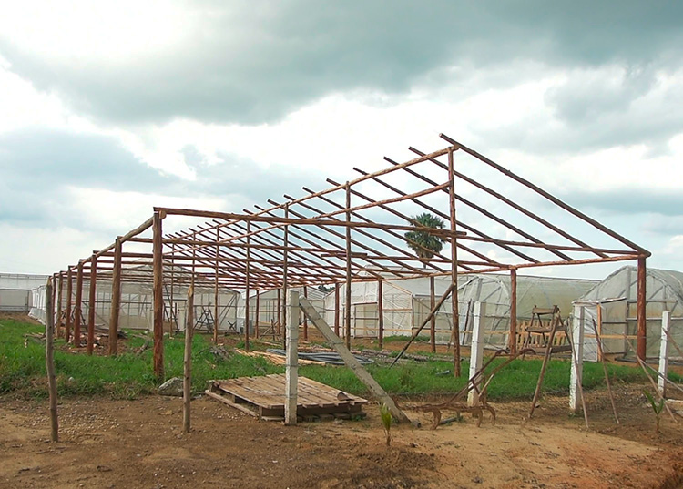 La construcción de las casas de cultivo rústicas en la UEB Semillas estuvo a cargo de los trabajadores lo que abarató los costos de las mismas, las que representan un potencial para mantener durante todo el año la producción de hortalizas / Foto: Pedro Paredes Hernández