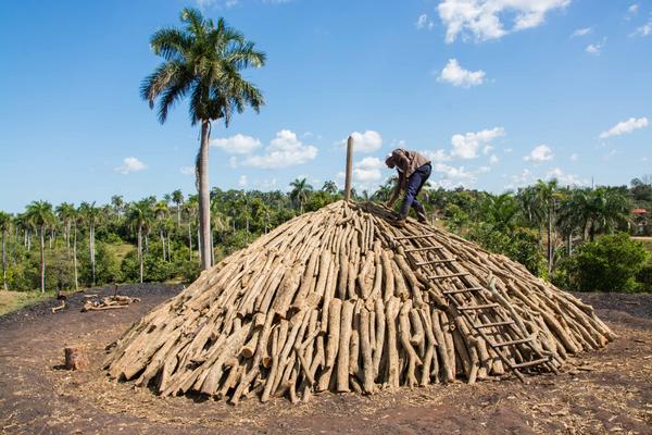 Preparación de un horno para la elaboración de carbón vegetal, en La Palma, Pinar del Río, Cuba, el 3 de abril de 2018.