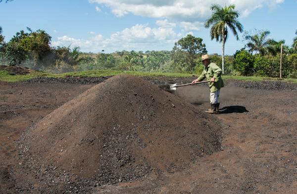 Carbonero en la preparación de un horno de carbón vegetal, en La Palma, Pinar del Río, Cuba, el 3 de abril de 2018.