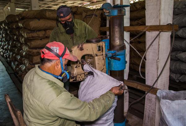 Carboneros durante el beneficio del carbón con destino a la exportación, en La Palma, Pinar del Río, Cuba, el 3 de abril de 2018.