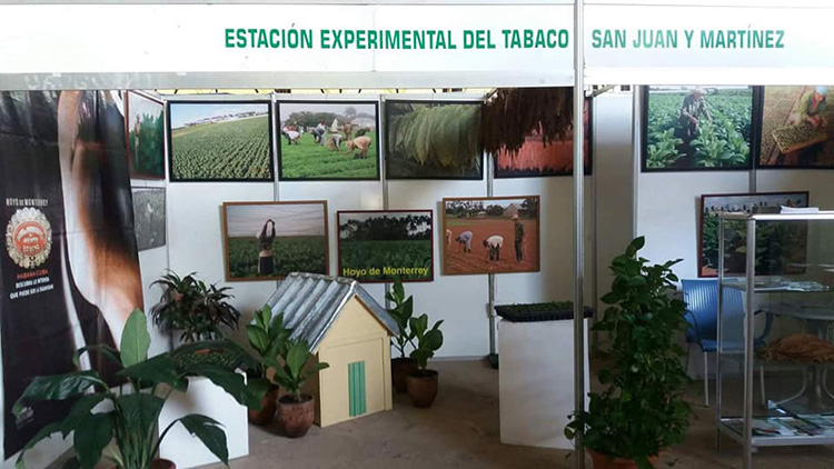 Estación Experimental del Tabaco en San Juan y Martínez