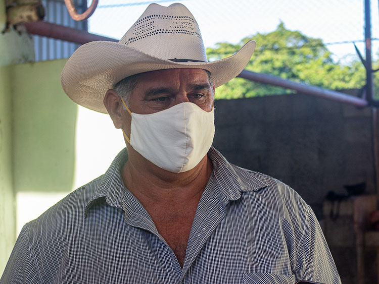 Además del ganado vacuno, Víctor Planas se dedica a la ceba de búfalos