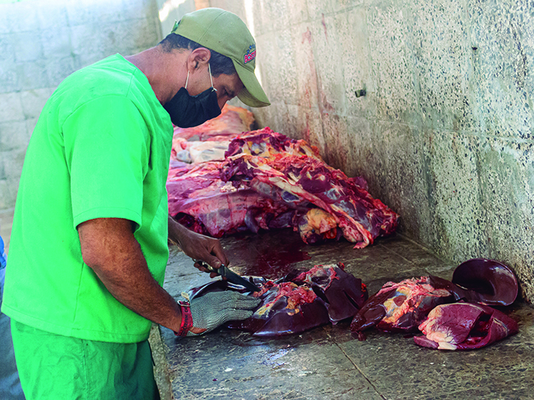 La revisión de la carne por el veterinario es esencial para descartar cualquier enfermedad.