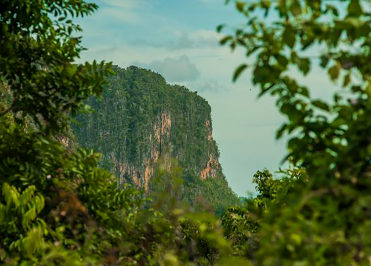 Viñales cuenta con valores desde el punto de vista cultural, paisajístico, de la biodiversidad y geológico. / Foto: Deny Extremera/ Cubadebate.