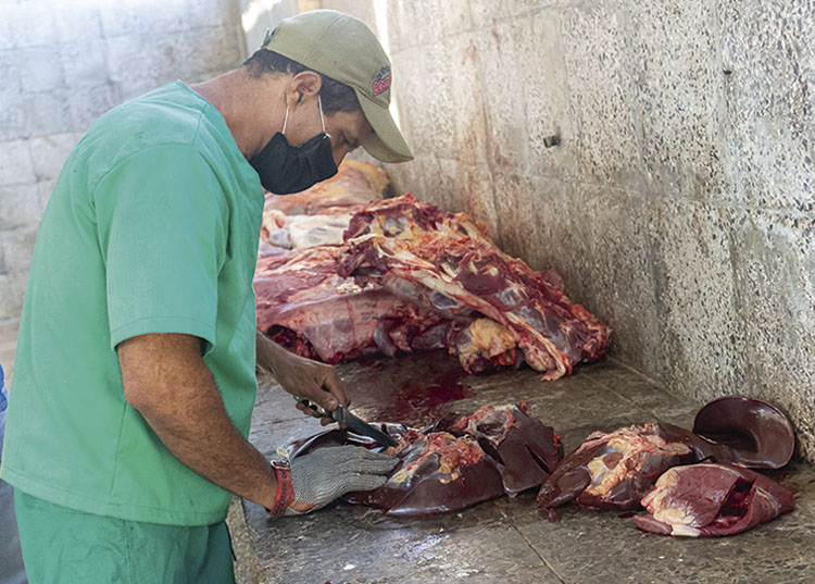 El sacrificio de ganado vacuno y el expendio de las carnes a productores que cumplan los requisitos establecidos fue una de las medidas de mayor impacto durante el año.