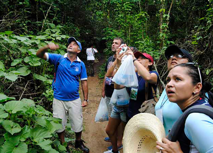 Turismo cubano y protección medioambiental, claves del presente
