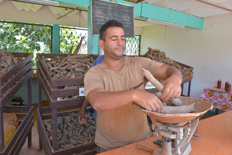 Consolacion-Guerrillero-Pinar-del-Rio-Cuba-750x500-1