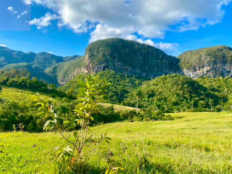 Pinar del Río, cool day with isolated rain