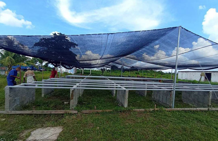 2 proyecto mi costa pinar del rio guerrillero