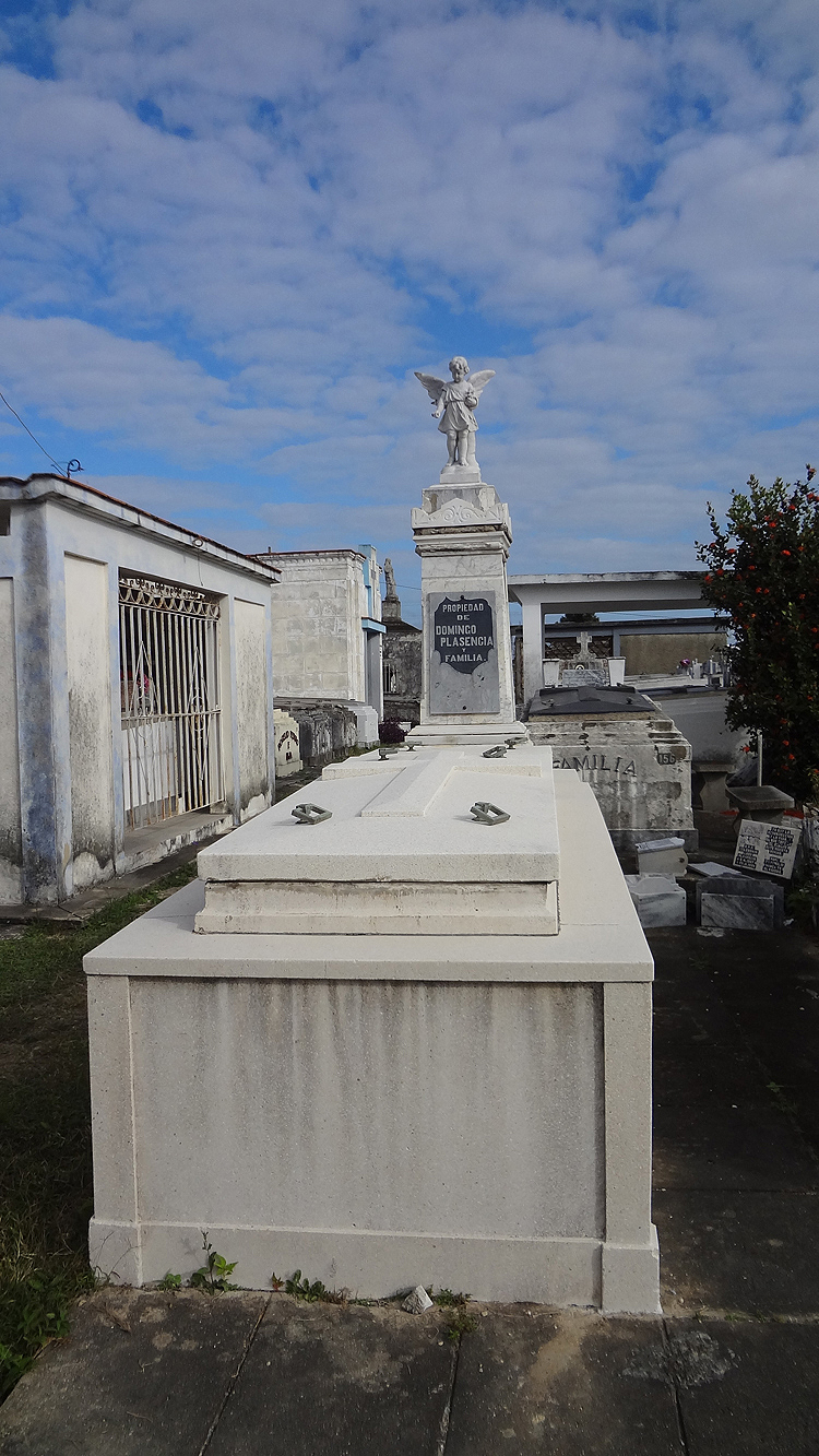 5 cementerio metropolitano pinar del rio guerrillero 750x1333 2