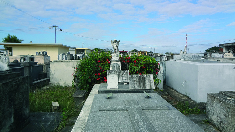 6 cementerio metropolitano pinar del rio guerrillero 750x422 1