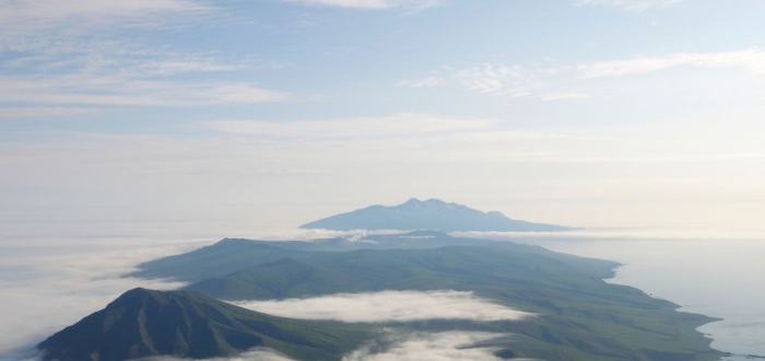 cientificos descubren zavaritskii