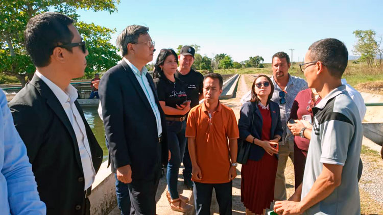 12 visita delegacion vietnamita pinar del rio guerrillero