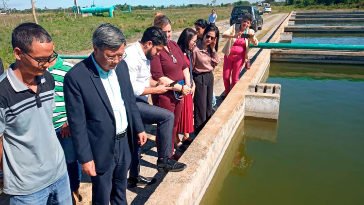 13 visita delegacion vietnamita pinar del rio guerrillero