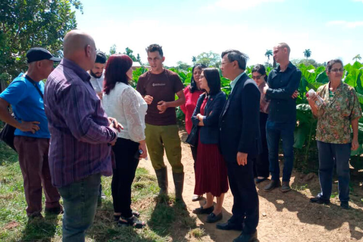 3 visita delegacion vietnamita pinar del rio guerrillero