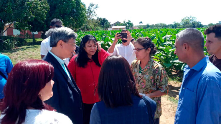 4 visita delegacion vietnamita pinar del rio guerrillero 1